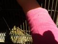 20140606_101126.jpg